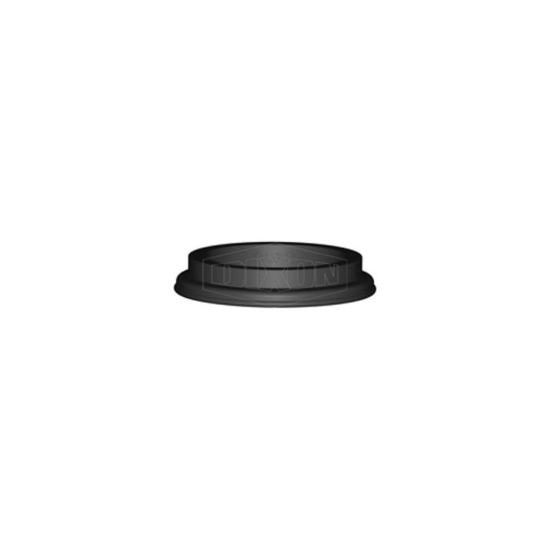 Dixon EZLink EZL200-G-FV Replacement Gasket, 2 in, Fluorosilicone