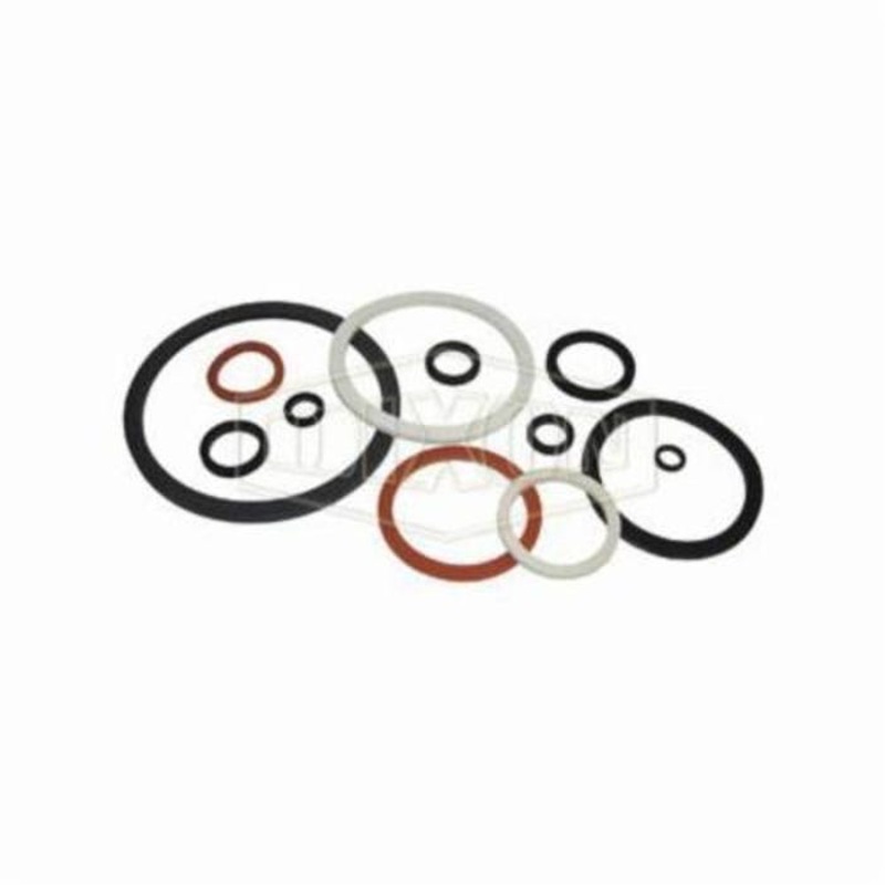 Dixon 200-G-VI Cam and Groove Gasket, 2 in Nominal, FKM