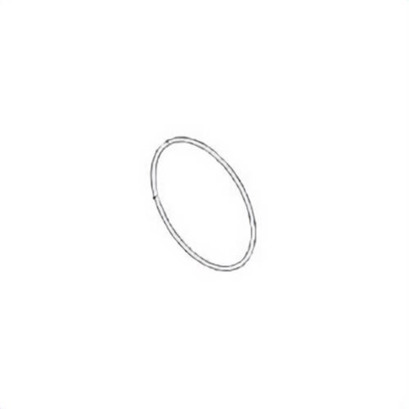 Ridgid 35618 O-Ring, for Use with SeeSnake Microdrain/MicroReel Inspection System and SeeSnake Max Model RM200 Camera System