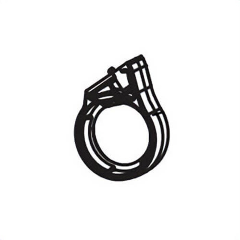 Ridgid 53243 Cable Guide Assembly, for Use with SeeSnake Model Compact2 Camera System