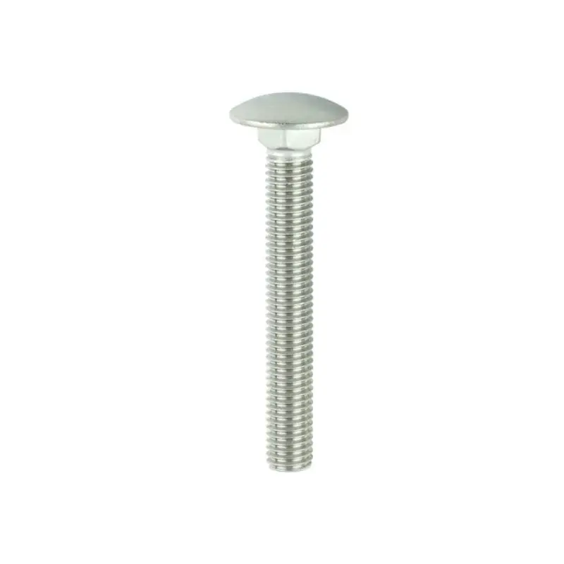 TIMCO Carriage Bolts DIN603 A2 Stainless Steel - M10 x 75 - Pack of 5 Pieces