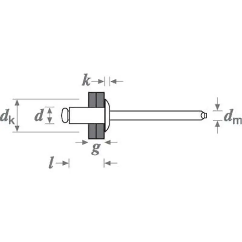 POP Tspd46Bs - Pack of 1000 Steel Body /Steel Rivets