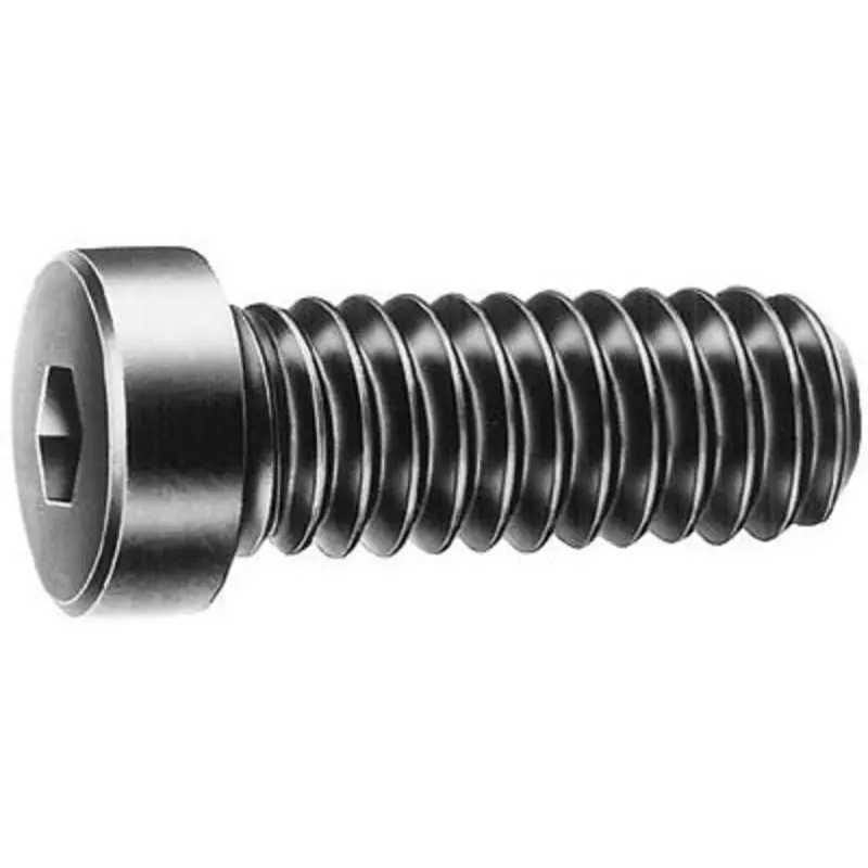Select M 10 x 20 Alloy Low Head Socket Cap Screw 10.9