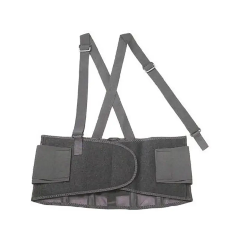 Ergodyne Proflex 100 Economy Back Supports  | MSC Industrial Supply Co.